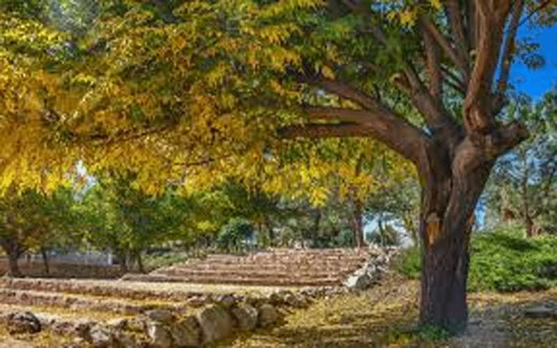 الإثنين.. طقس خريفي لطيف