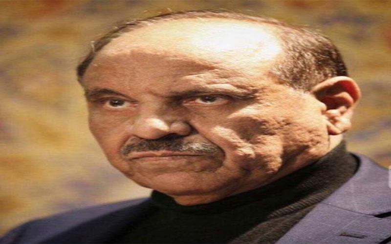 حماد : الرويشد لن تصبح محمية