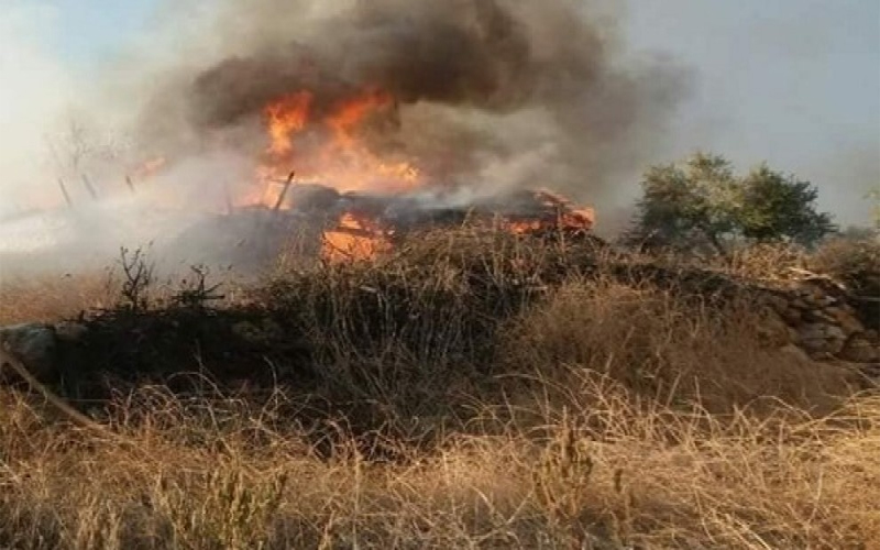 النيران تلتهم 60 دونما من الأشجار