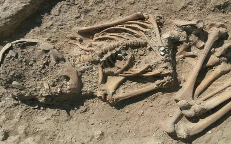 راع يعثر على هيكل عظمي بشري