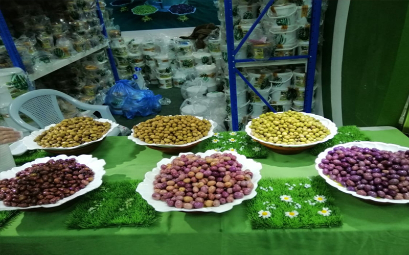 مليوني دينار مبيعات مهرجان الزيتون