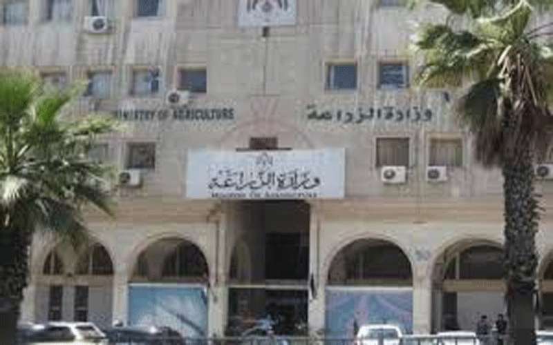 الزراعة تمنح موافقة لحماية أصناف نباتية