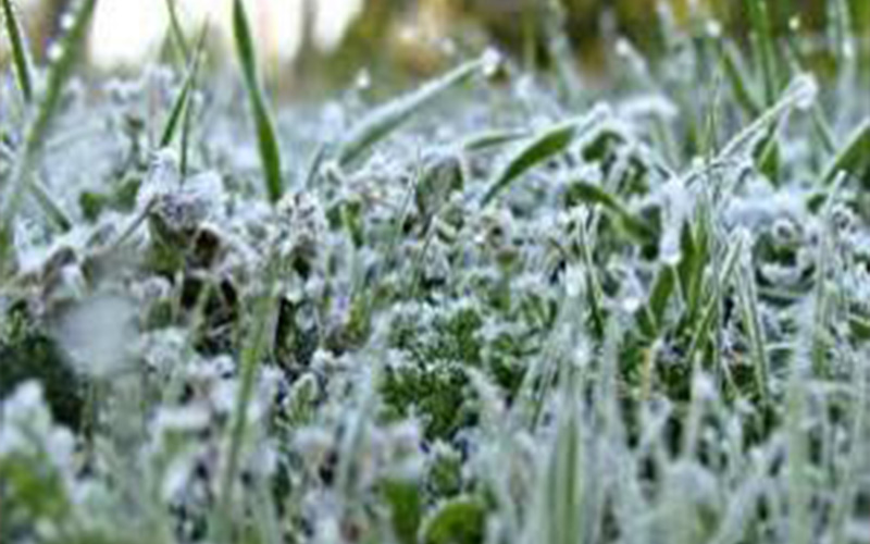 طقس مستقر الثلاثاء وفرصة للصقيع ليلا