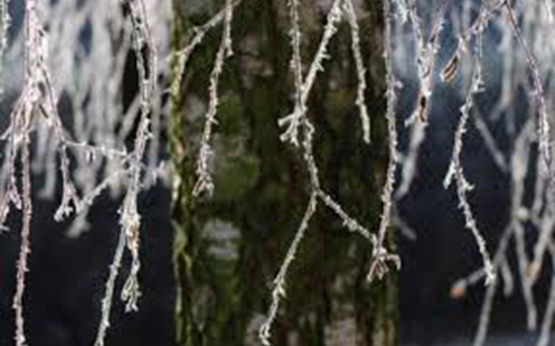 اجواء باردة ليل الاربعاء وتحذير من