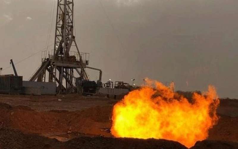 الشوبكي: حقل الريشة قريب من بئر