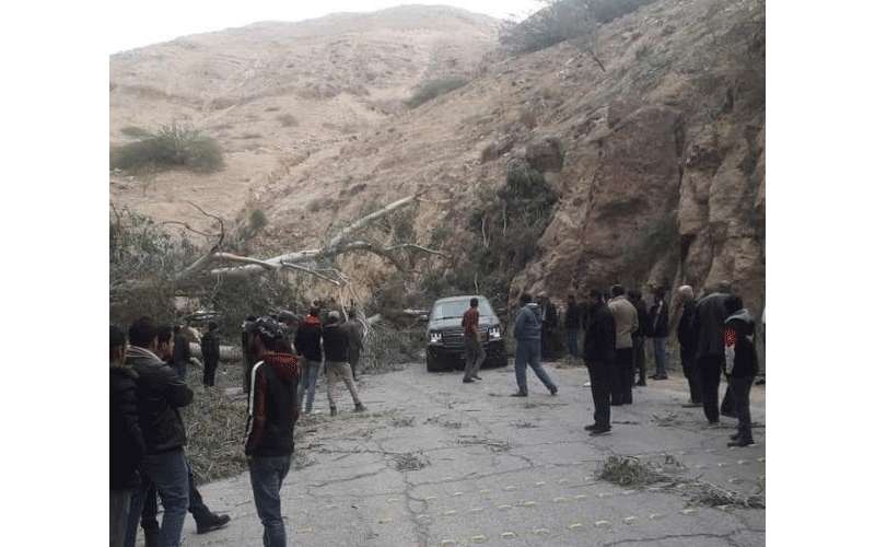 سقوط شجرة في وادي شعيب واغلاق