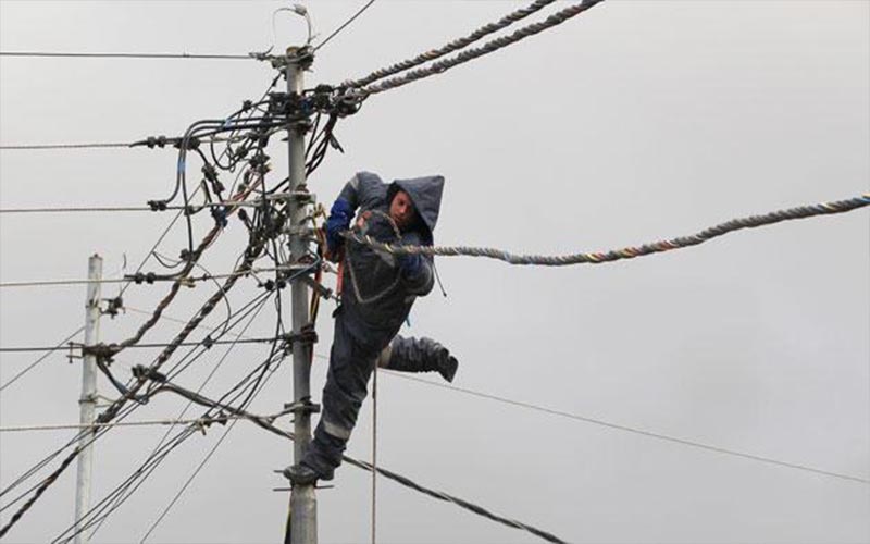 3500 اتصال تعاملت معه الكهرباء بالمنخفض