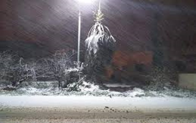 تعرف على المناطق التي ستتساقط فيها