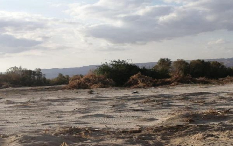 الحكومة: الإجراءات في فيفا لأسباب أمنية