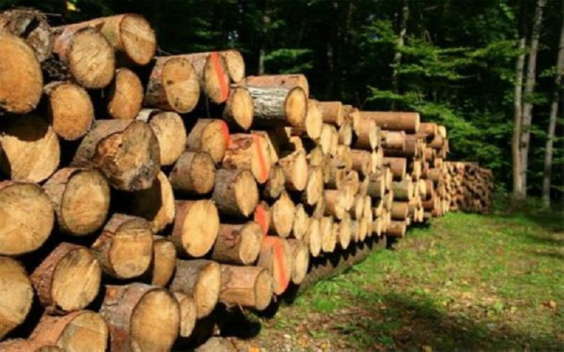 الزراعة تضبط 10 سيارات محملة بالأحطاب