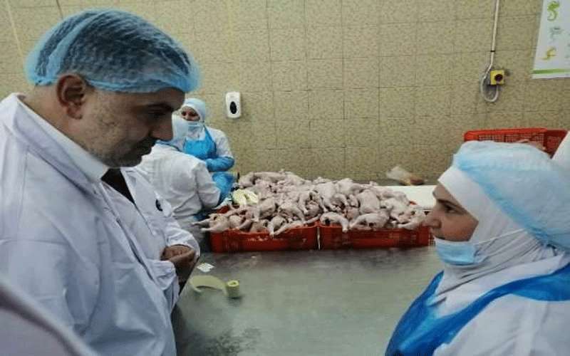 البطاينة يفاجئ دواجن الوطنية