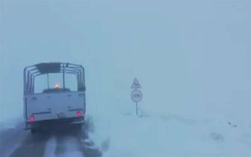 تراكم الثلوج في رأس النقب -فيديو