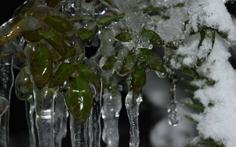 الأرصاد : ارتفاع على درجات الحرارة