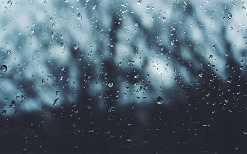 الإثنين.. طقس بارد وغائم وفرصة لزخات