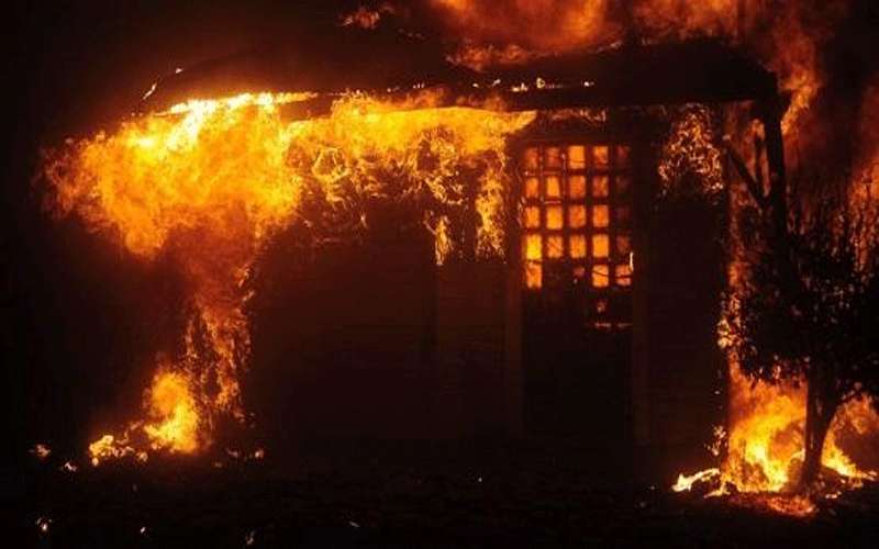 كارثة الحرائق تصل أميركا