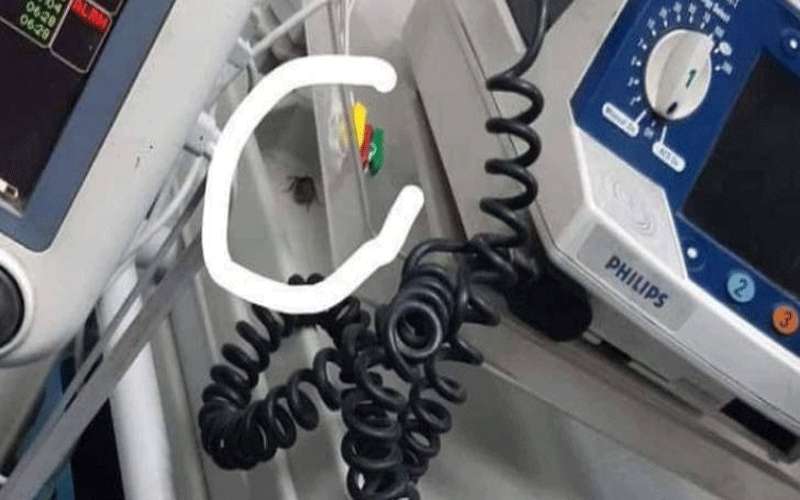 زريقات يعد بالإفراج عن مصور فيديو