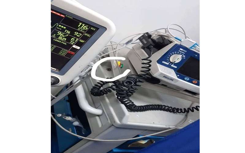 الإفراج عن مصور فيديو الصرصور في