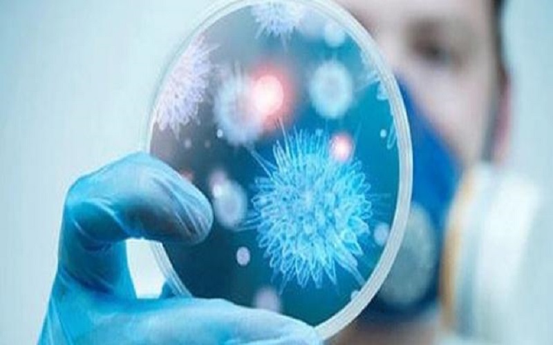 الصحة: الأردن يخلو من فيروس كورونا
