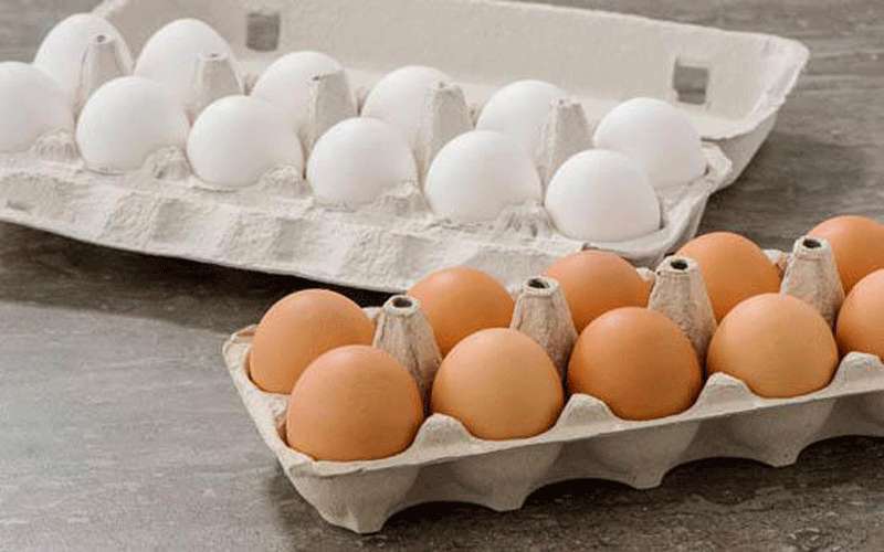 شركة أردنية تطالب تصدير 3 ملايين