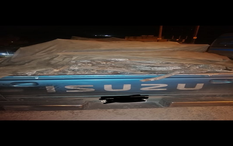 ضبط مركبة محملة بحطب السنديان في