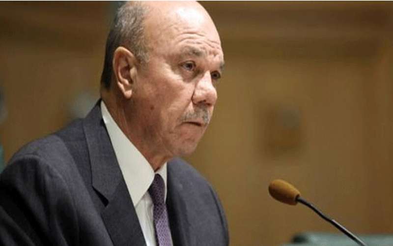 الفايز يؤكد الثوابت الأردنية العليا للسلام