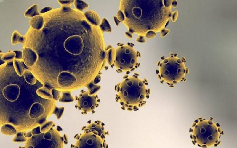 الصحة العالمية تعلن حالة طوارئ دولية