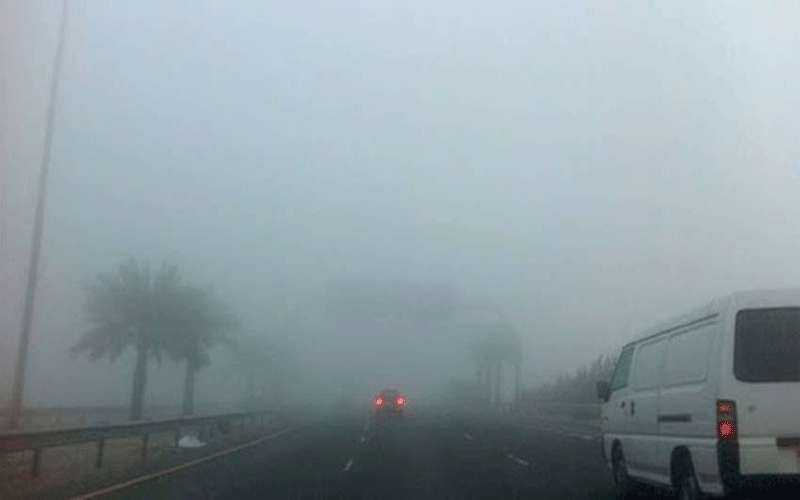 الأحد.. طقس بارد و غائم وزخات