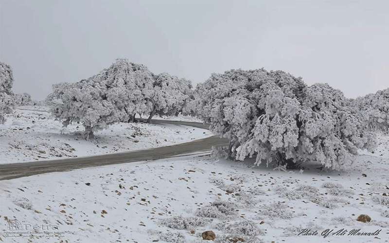 تفاصيل ثلوج الجمعة والسبت