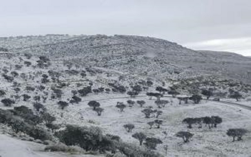 تعليق دوام الدوائر الرسمية في الشوبك