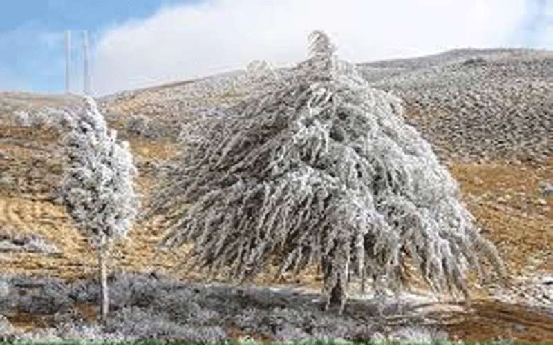 الإثنين.. استمرار تأثر الممكلة بالكتلة الهوائية