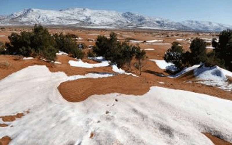 تجمد 13 مهاجرا حتى الموت على