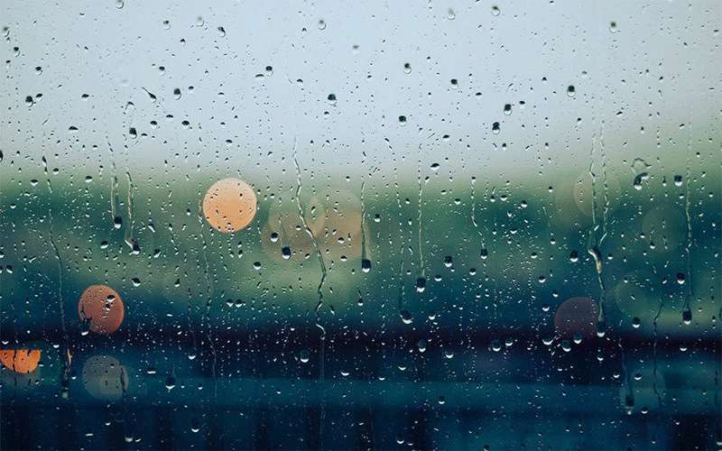الاربعاء.. فرصة لزخات أمطار في الصباح