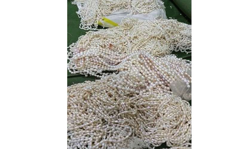 الجمارك تحبط تهريب 20 كغم لؤلؤ