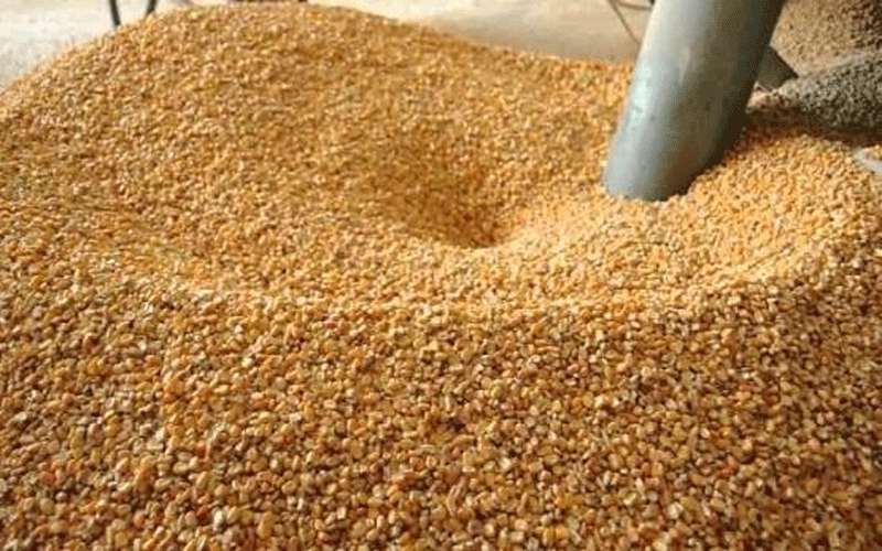 دعوة لتخفيض أسعار الأعلاف