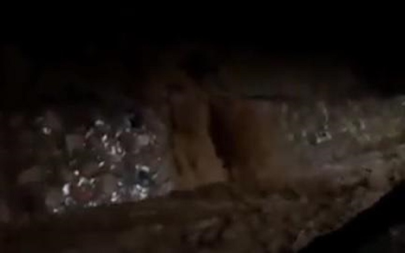 سيول في العقبة