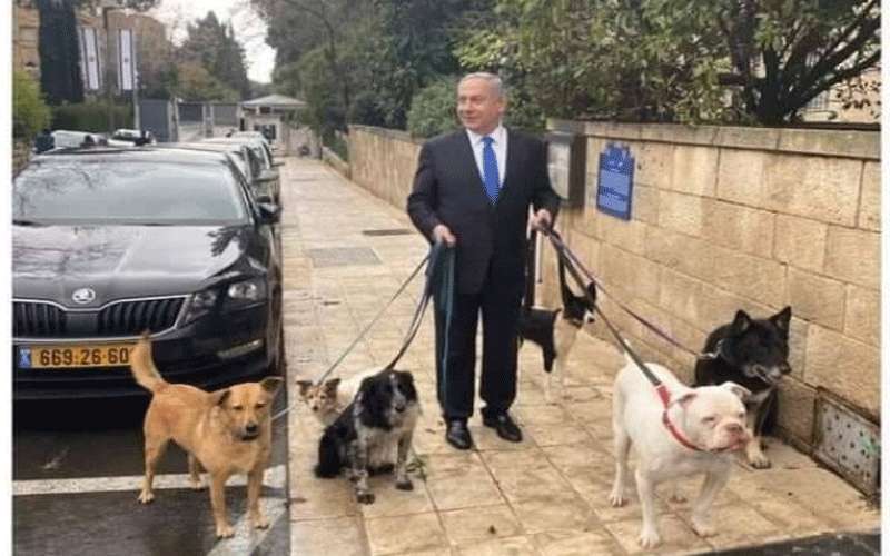 غانتس: نتنياهو سيعرقل الانتخابات من خلال