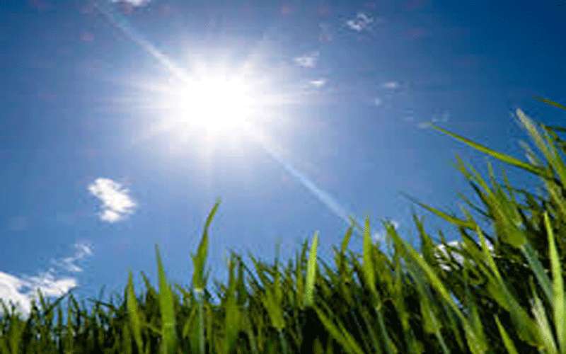 الخميس.. طقس مستقر ومشمس في أغلب