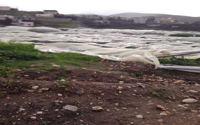 العواصف تدمر البيوت البلاستيكية بالأغوار وتكبد