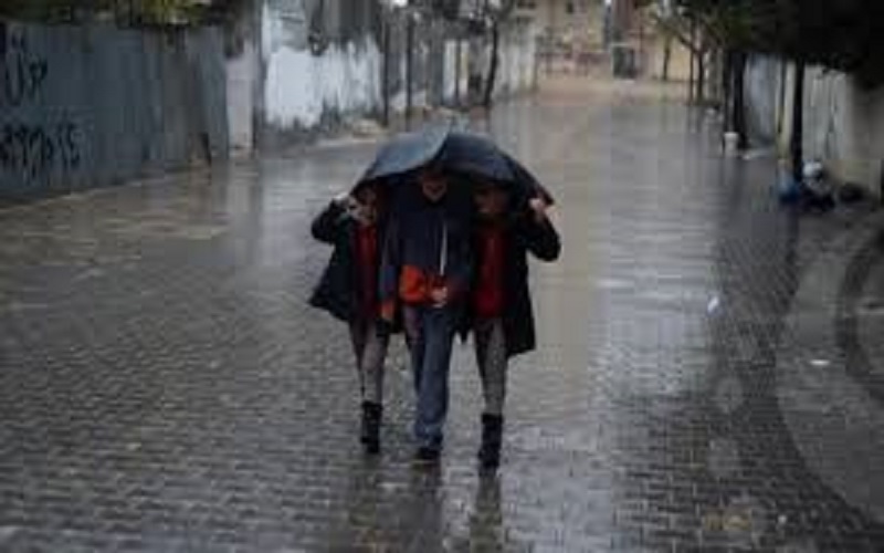 تربية الزرقاء الأولى تعلق الدراسة ليوم