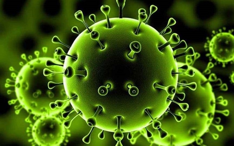 الصحة: تتبعنا وضع السائحة الكندية وحجرنا