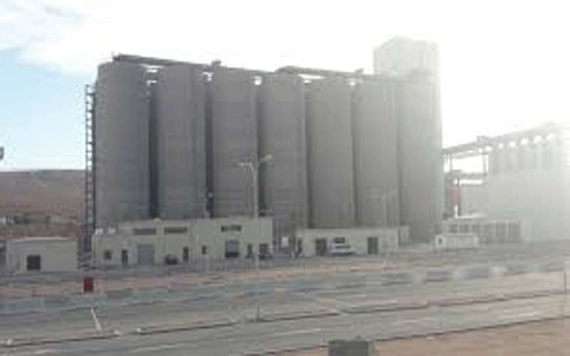 إفراغ 63 طنا من القمح في