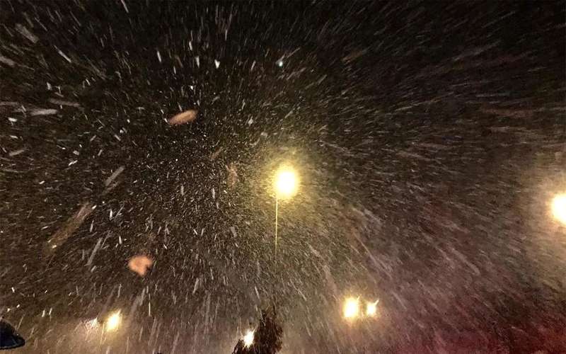 بدء تساقط الثلوج في الشوبك والبلدية