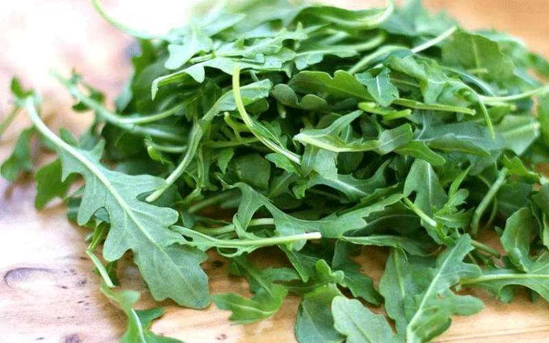 توريد 3850 طن خضار وورقيات