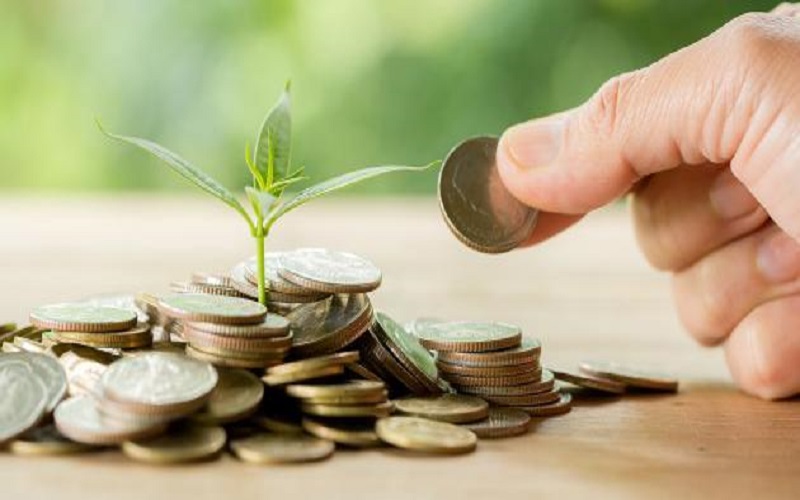 الإفتاء تدعو لإخراج الزكاة وعدم تأخيرها