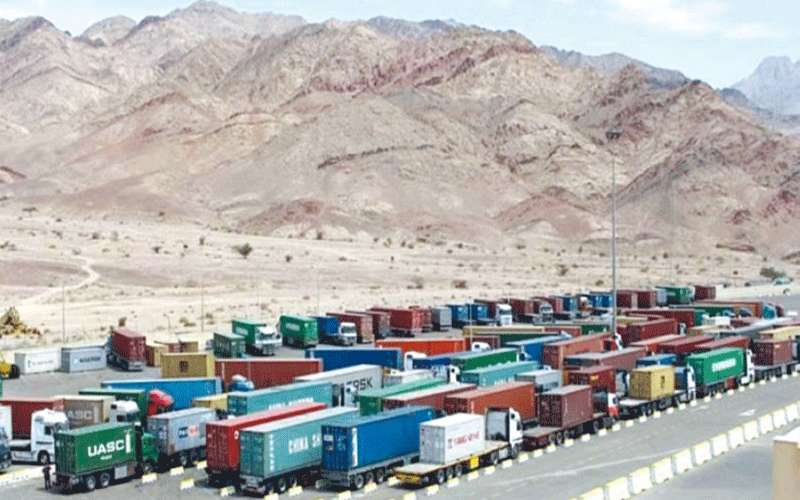 جمارك العقبة تعاين الف حاوية غذاء