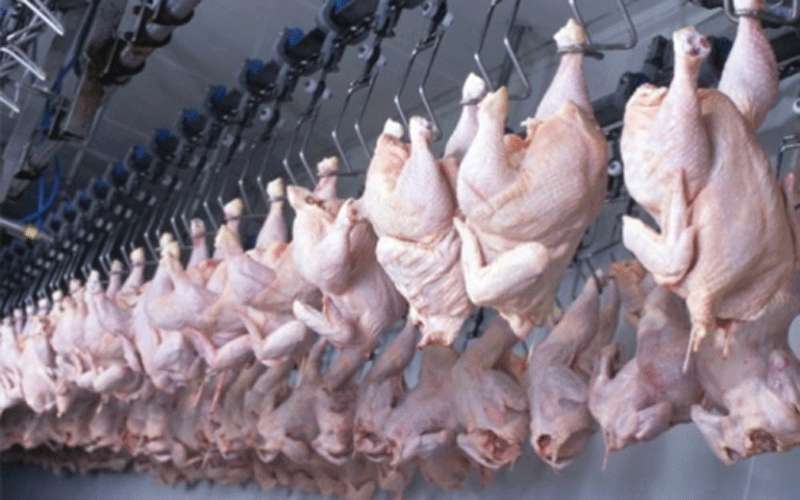 الامانة تقرر فتح مسلخ الدواجن اعتبارا