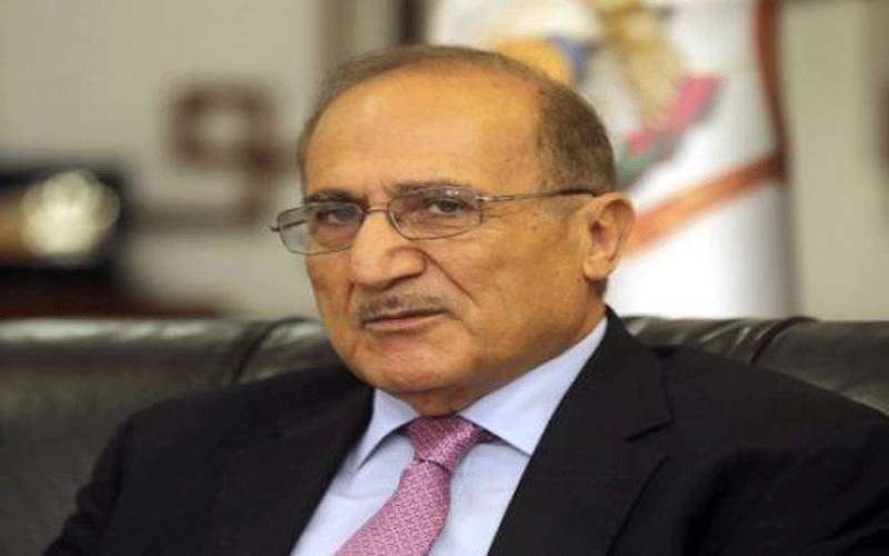 العناني: نحتاج أحكاما عرفية لمدة سنتين
