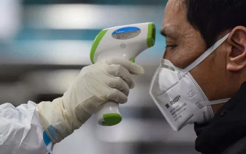 لا اصابات لـ قطط او حيوانات