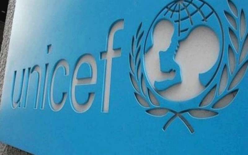 المصادقة على خطة عمل اليونيسف في