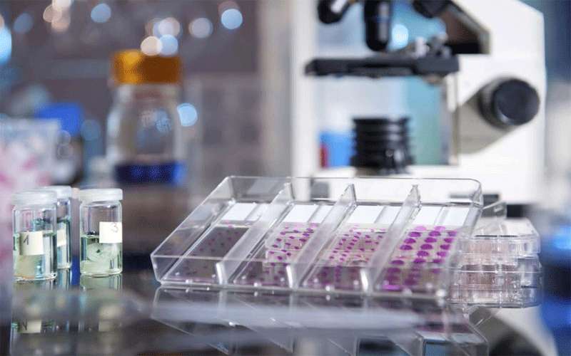 الزرقاء: 147 عينة سلبية من فيروس